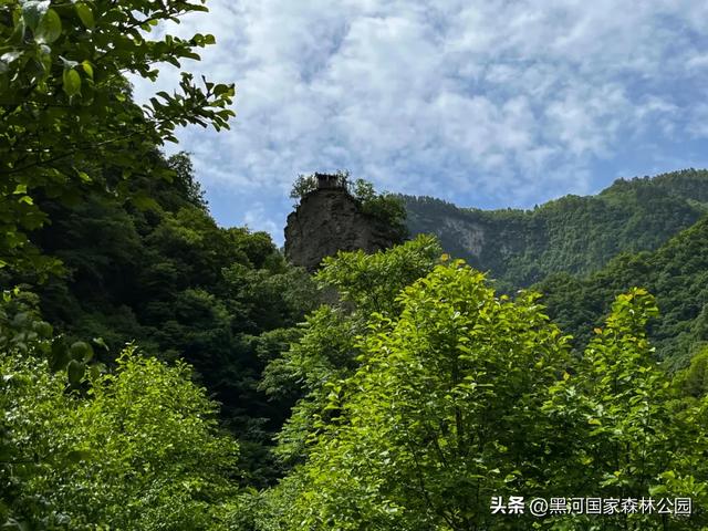 山林间邂逅最美的季节交替 | 四大景区,各具风韵,一步一诗境