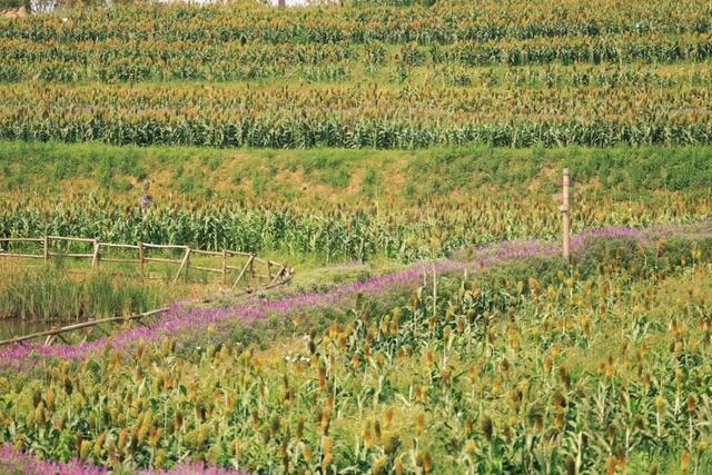 收拾收拾，又有景区“升咖”了