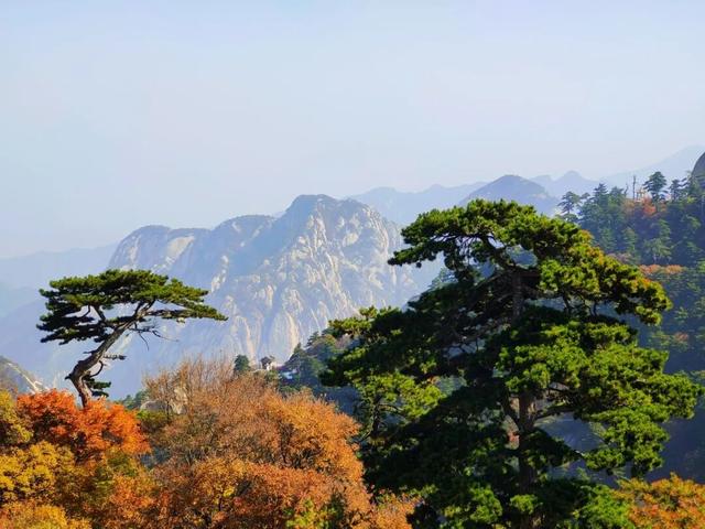 好美！你是否也喜欢华山的秋天！