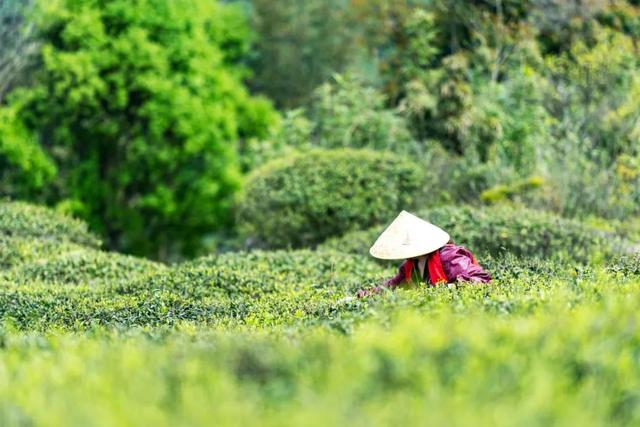 不是广州、不是成都！中国首个 "美食地标城市"竟是这座闽东小城