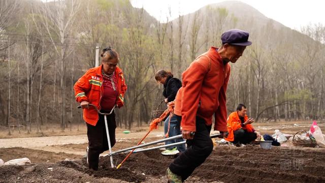 灵丘：塞外桃源先得春 山谷奏响第一声