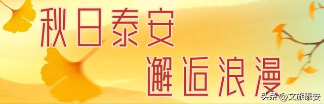 美极啦！下雨天去上班，小泰竟发现岱庙不同以往的一面→