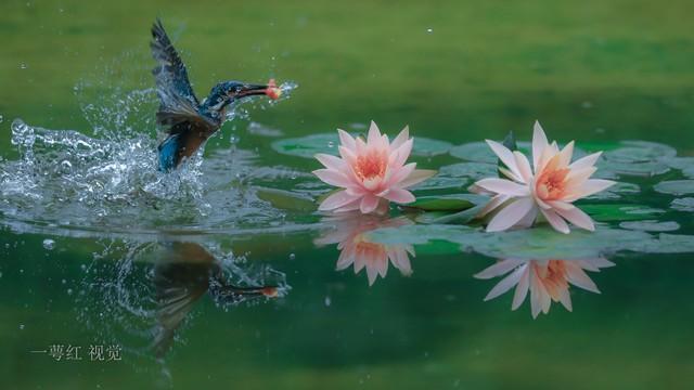 两性关系“男怕前，女怕后	”	，为何男人怕前女人怕后原因是什么？