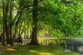 谜底是汉字的谜语（精选360个）图片