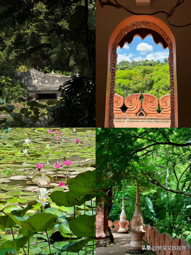 北回归线上的绿宝石：西双版纳的暖冬秘境