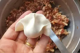 包饺子调肉馅，放料太多难怪不好吃，只需1味料，肉馅鲜嫩多汁图片