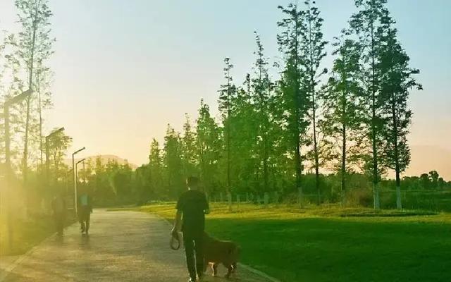 我52岁跟老公异地分居在厂里上班	，耐不住寂寞，每天晚上出去散步