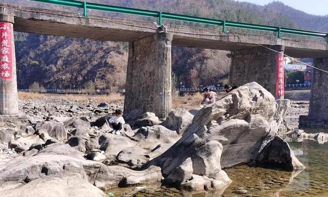 河南杀出黑马！郑州洛阳都懵了，这座小县城靠什么吸金45亿