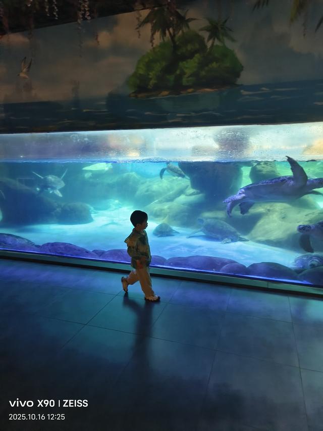 成都 极地海洋公园（58）2025年10月16日