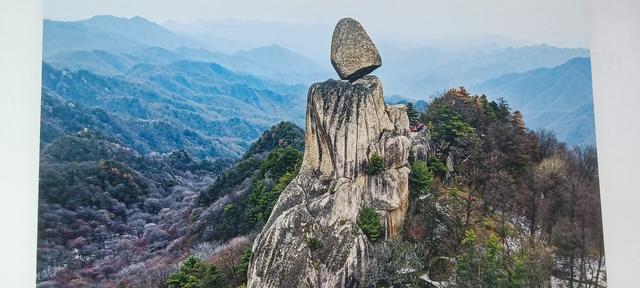 心心念念的大秦岭