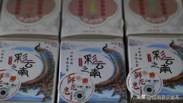 昆明云上花旅季：探访晋宁玫瑰的“云上蝶变”之路