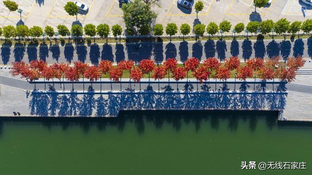 石家庄：秋色如画