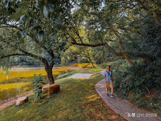 每日一景|幽湖清溪·琵琶湖公园