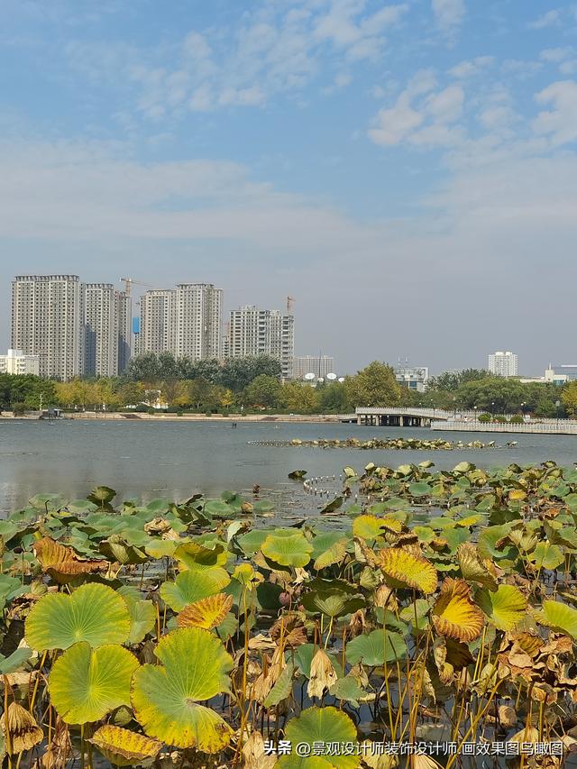 河北省邯郸市龙湖公园