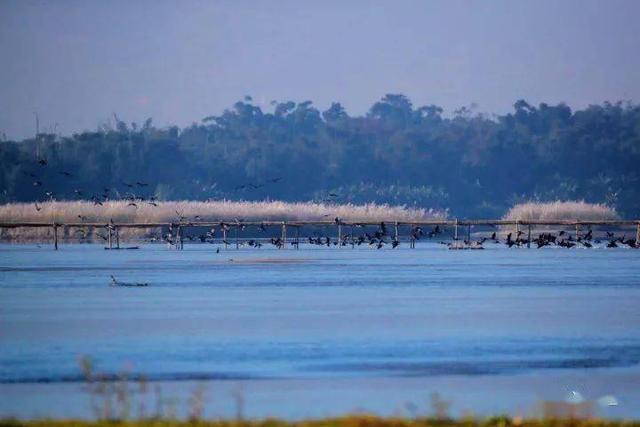 携台湾亲朋自驾游滇西南之十一