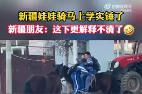 新疆小朋友骑马上学实锤了 新疆朋友：完了，这下更解释不清了图片