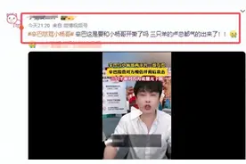 “沫沫事件”：网红圈背后的疑云重重图片