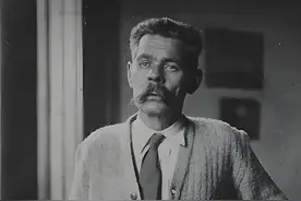 作家高尔基：从翱翔的海燕到被牵住鼻子的老熊，最悲哀的红色文豪图片