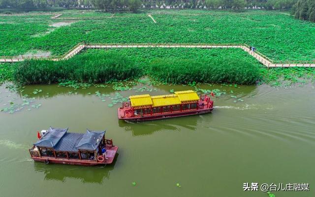 学生春假及五一去哪儿玩？台儿庄六大景区门票免费！