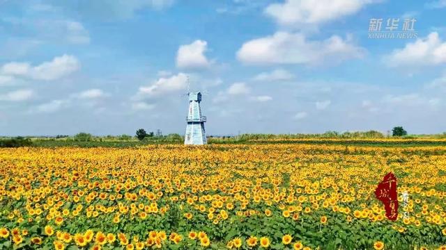 新华社报道山东临沭