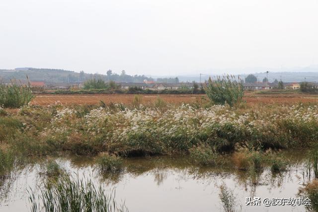 组图：牟平玉林店镇尺坎村掠影，河畔风光有特色，村里还有寿星