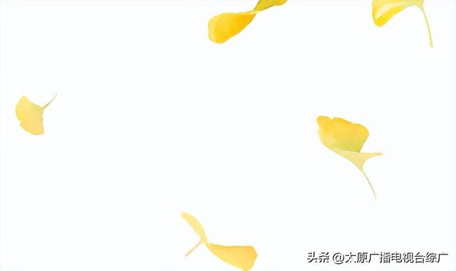 秋日“逃离”城市计划|天龙山石窟