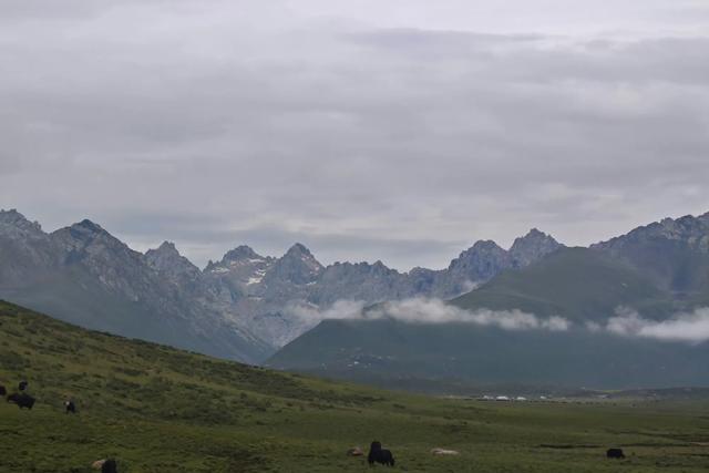 川甘青交界处有一座山，是长江、黄河的分水岭，知道的人却不多！