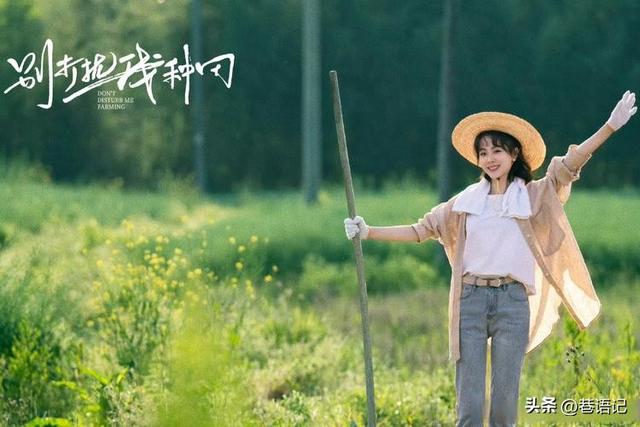 短剧破圈和文旅打卡，流量如何撬动地域经济新增长？