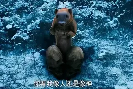 “你看我长得像人还是像神?”黄鼠狼的讨封是怎么回事！图片