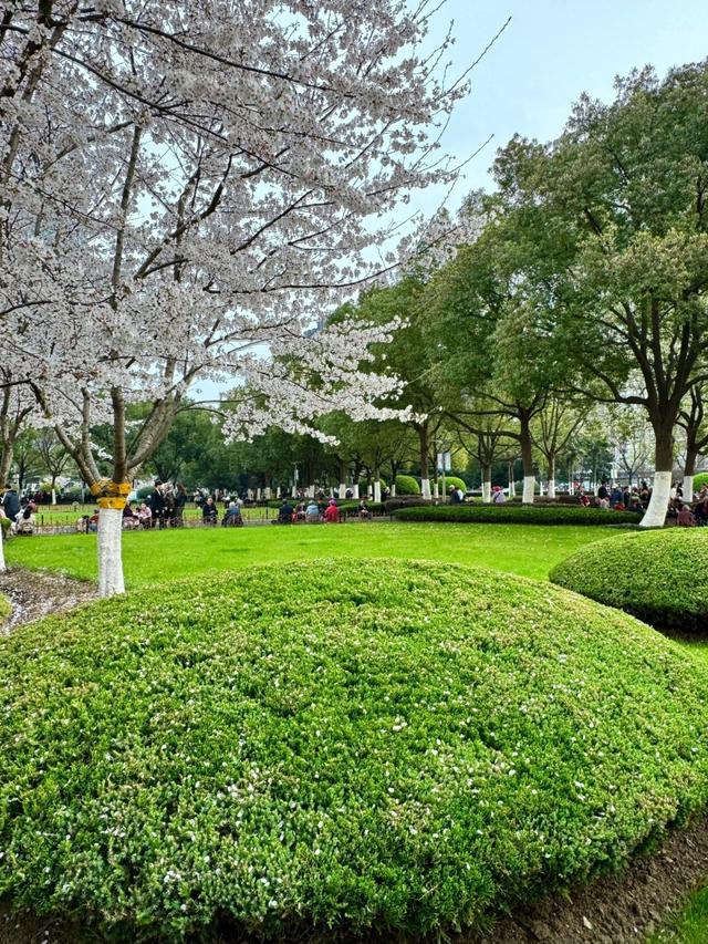 合肥下一个主城或将诞生？不是肥西、肥东，堪称最具黑马相的城区