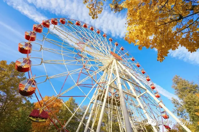 元旦假期“热力全开”！白云区文旅盛宴点燃冬日激情，实现2026“开门红”