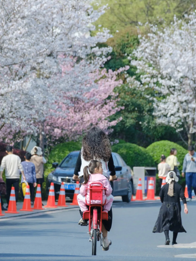 藏不住了！萧山的春天，美到犯规！