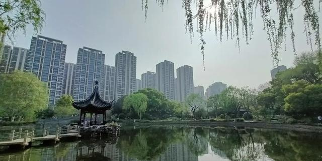 和平公园大变样，动物园没了，现在更高级了，虹口越来越好了