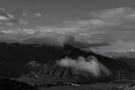 于小冬青海写生丨稞麦飘香油菜花黄，赛马奔腾歌舞飞扬图片