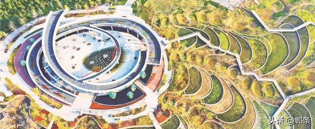 美在邯郸丨文化客厅 城市绿肺