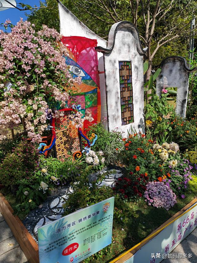 广州66届羊城菊花展，快来看打卡攻略