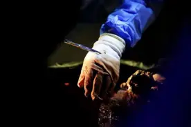 消失的他！1993年昆明市“8·10”红云化工厂硫酸毁尸案侦破始末图片