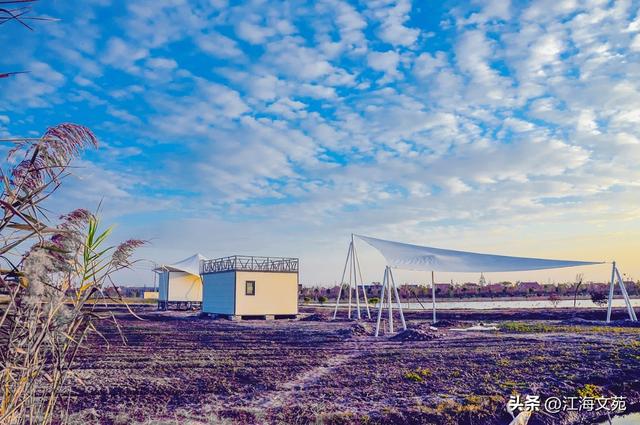 故乡美艳令人醉