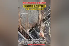中建二局拖欠农民工140万工资处罚2000元。卖70斤芹菜罚10万。图片