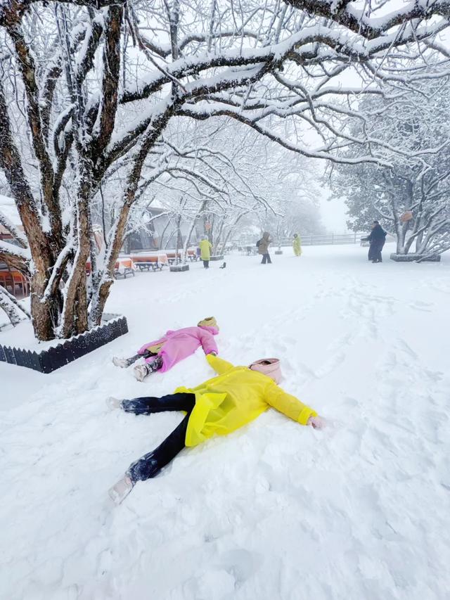 2025龙头山今冬第一场雪已至！快出发来赏雪~