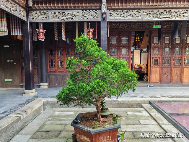 闲逛菏泽市老城曹州。这里的慎思园成了婚纱照的网红天堂了