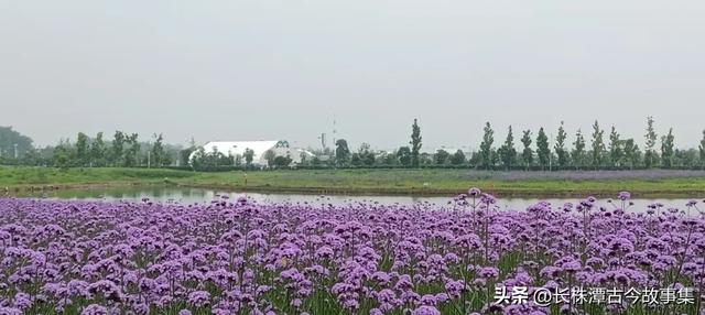 带您参观长沙月亮岛公园