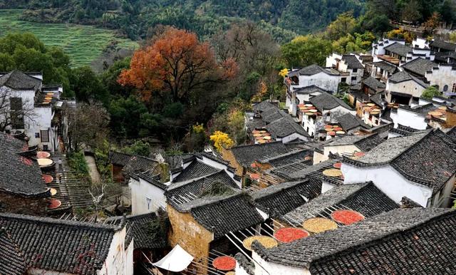婺源篁岭：这个秋天，去篁岭去拍“晒秋”吧