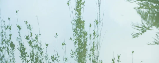 藏不住了！萧山的春天，美到犯规！