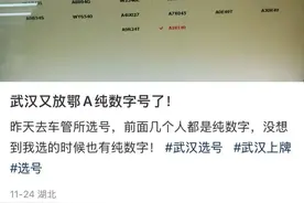 鄂A纯数字号牌大量发放？交警回应图片