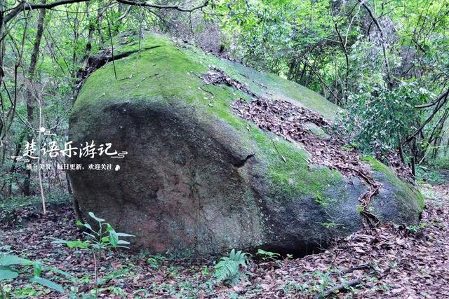 浙江宁与绍兴交界处的乡村，名气不大但藏着绝美风光，溯溪很惬意
