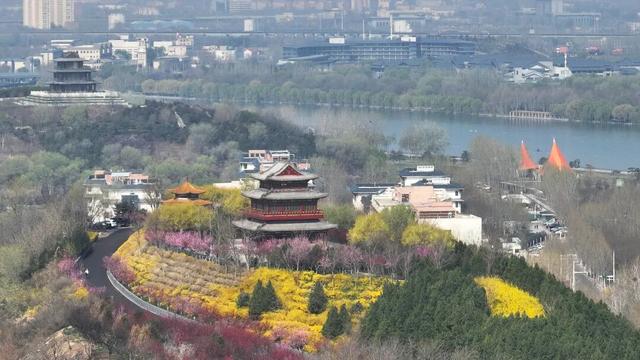 石家庄多条花街迎来观赏季