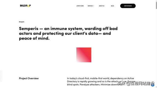 权威精选！2025 年浙江网站建设公司标杆企业深度分析，附服务能力