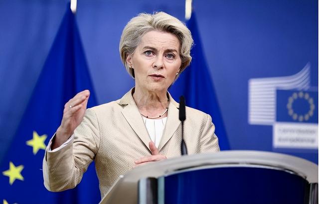31国跟随美国遏华，法国一夜之间开始转向，当着马克龙心腹的面，王毅外长送给欧盟两句话