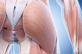 身体这两项指标越好的人，患病几率越小！长寿机会越大！快自测图片